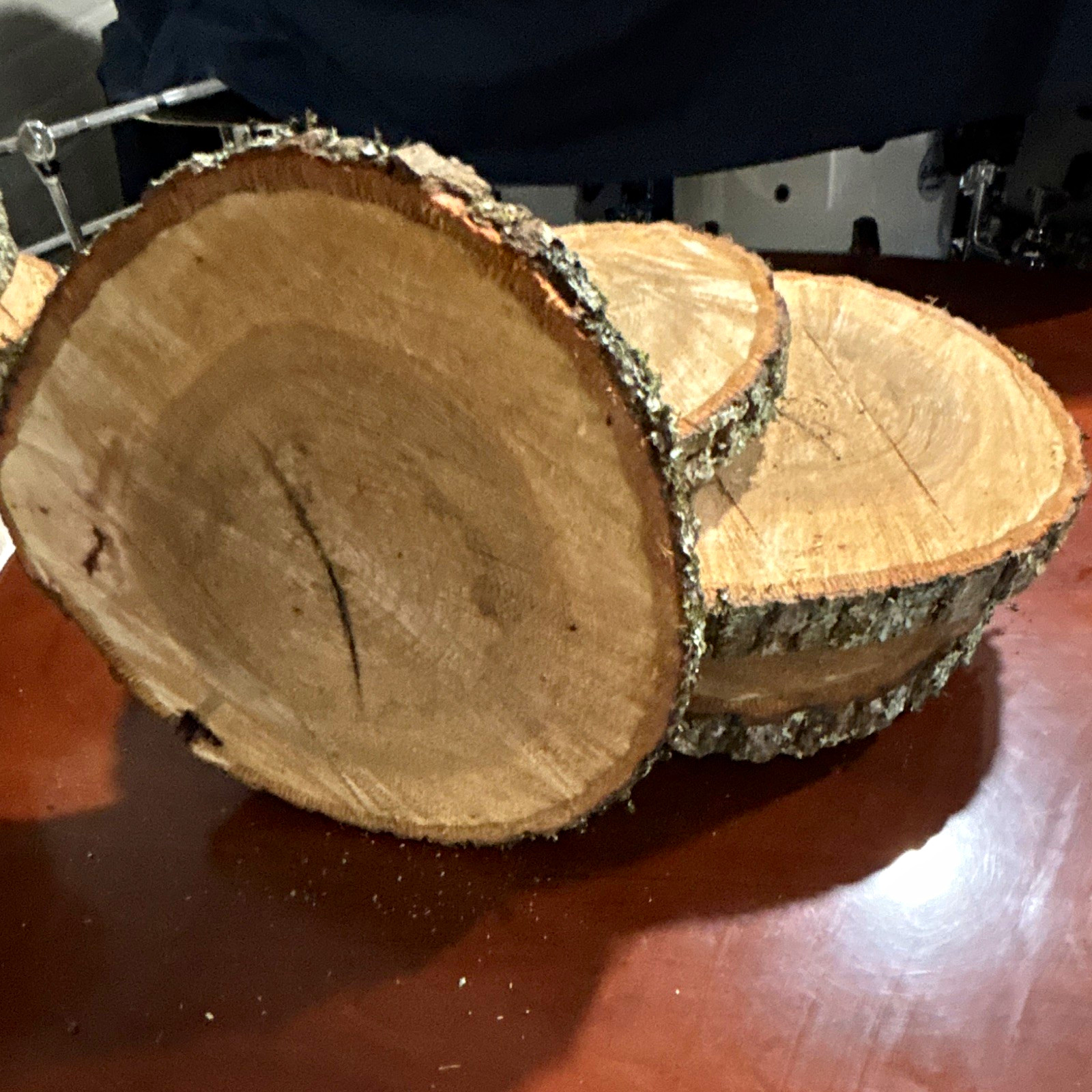 Hardwood 12” to  14” Unfinished Natural Wood Round with Bark Edge,  5 Pieces