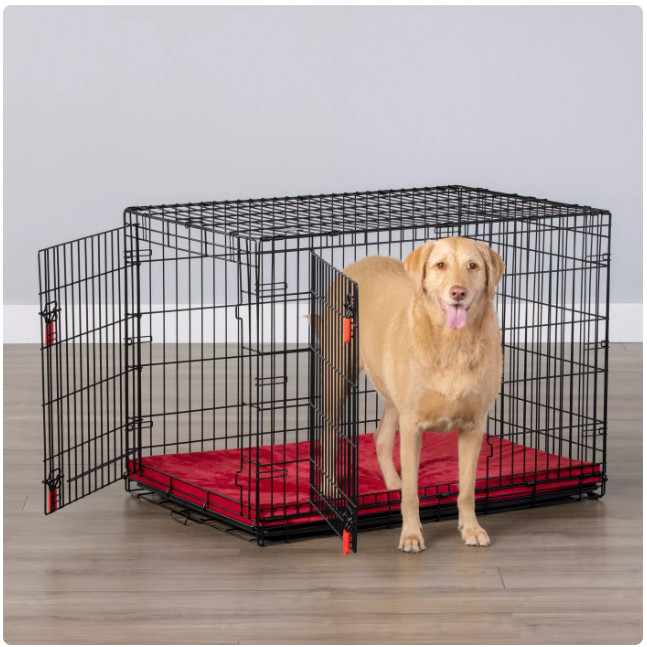KONG Ultra-Strong Dog Crate Large 42\ KONG Ultra-Strong Dog Crate Large 42\