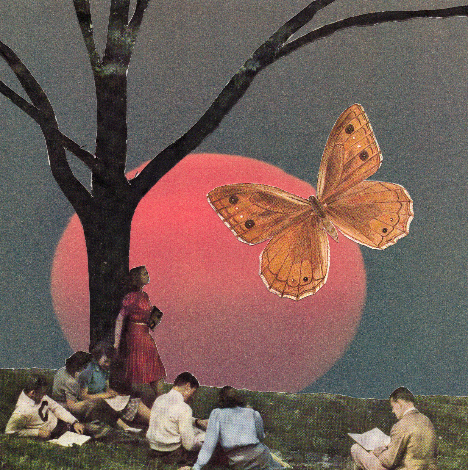 Original Collage Art Handmade Surreal Vintage Butterfly Mixed Media Artwork
