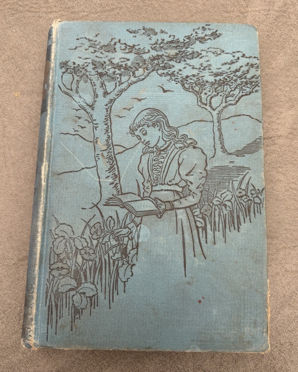Vintage Alice’s Adventures in Wonderland Lewis Carroll A.L. Burt Blue Cloth HC Vintage Alice’s Adventures in Wonderland Lewis Carroll A.L. Burt Blue Cloth HC