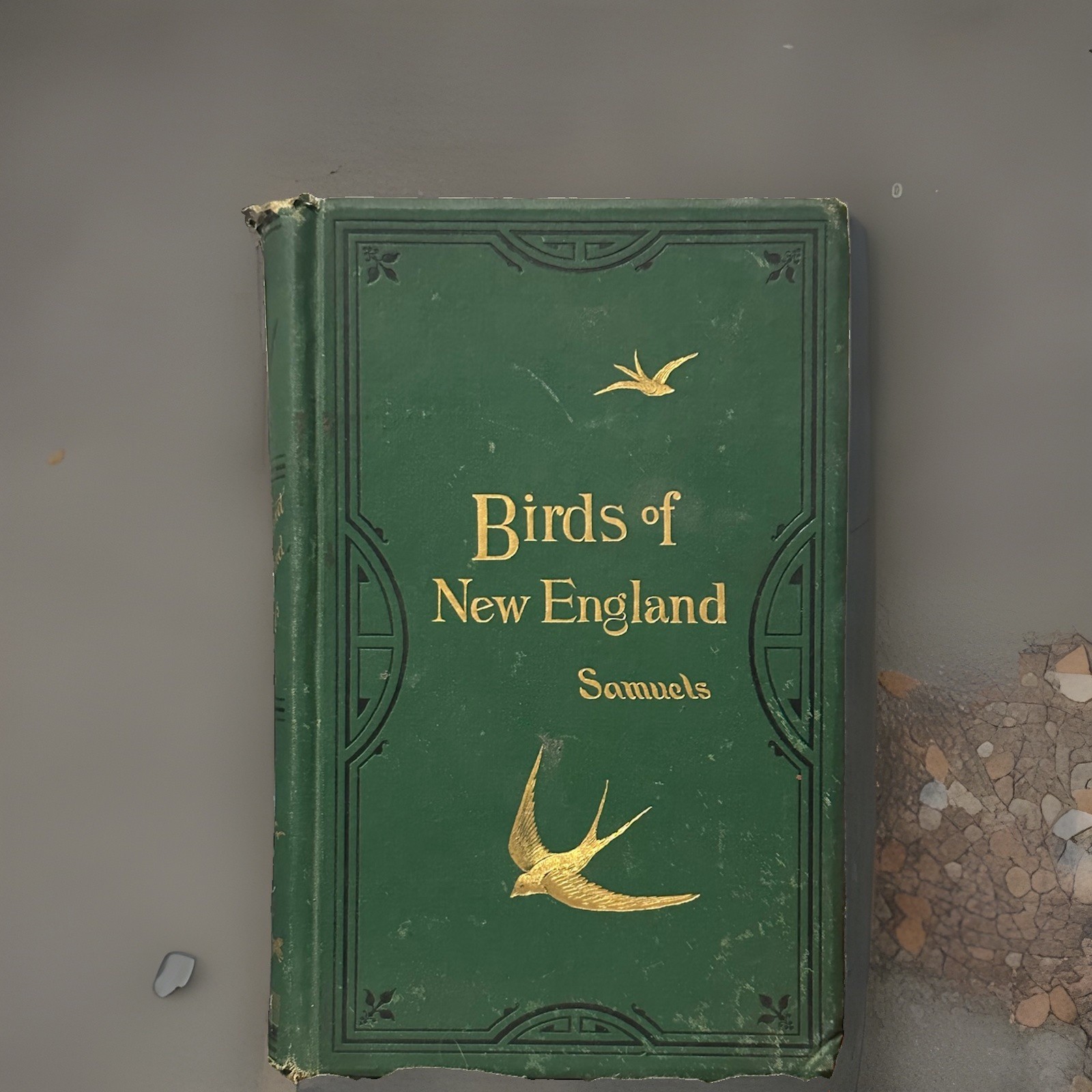 The Birds of New England. Antique HC Book Illustrated. Beautiful Book The Birds of New England. Antique HC Book Illustrated. Beautiful Book