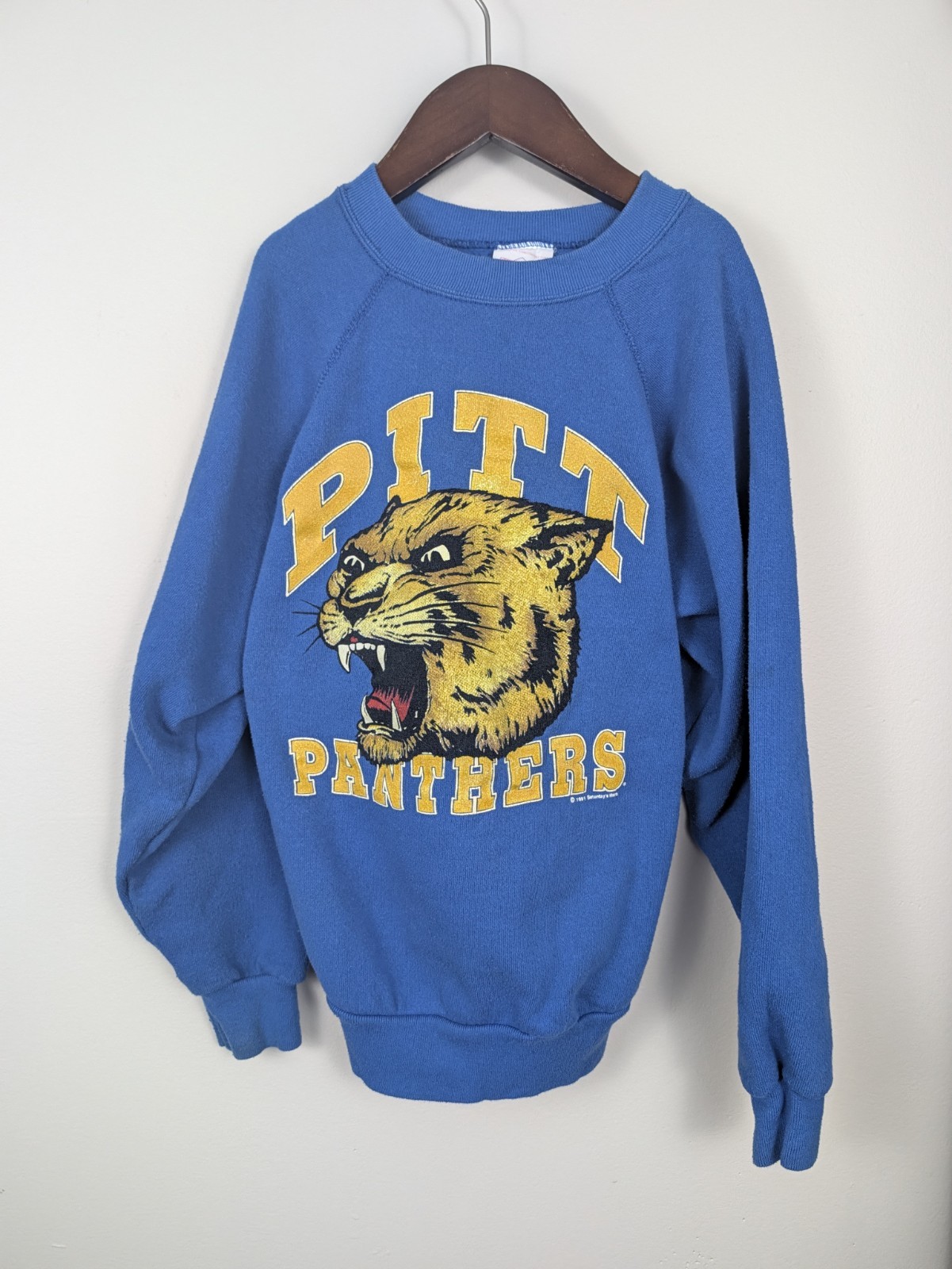 Vintage University Of Pittsburgh Youth Crewneck With Pitt Panther Graphic 1991 Vintage University Of Pittsburgh Youth Crewneck With Pitt Panther Graphic 1991