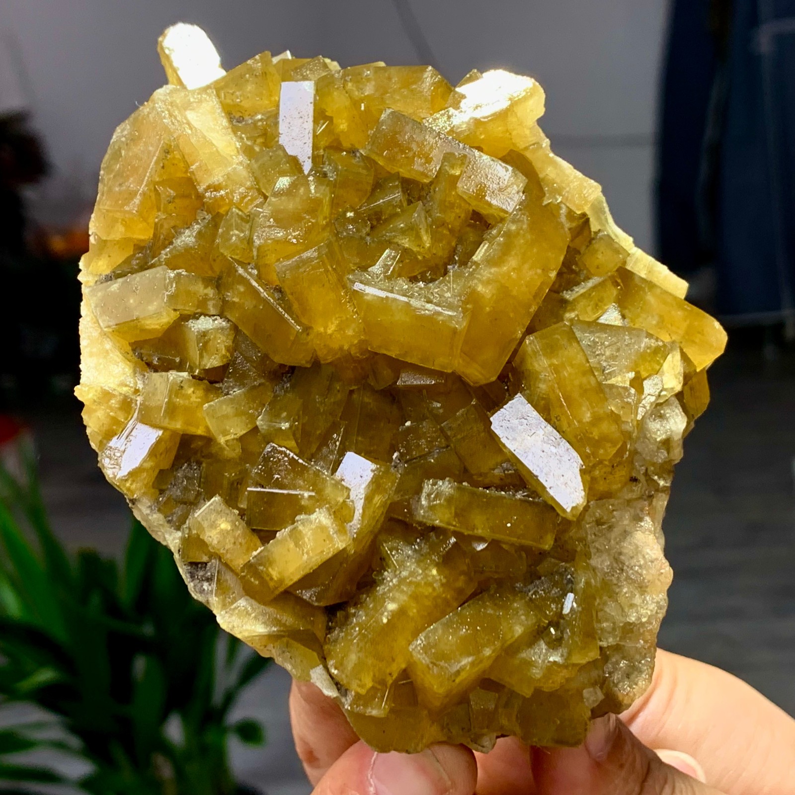 1.58LB Natural