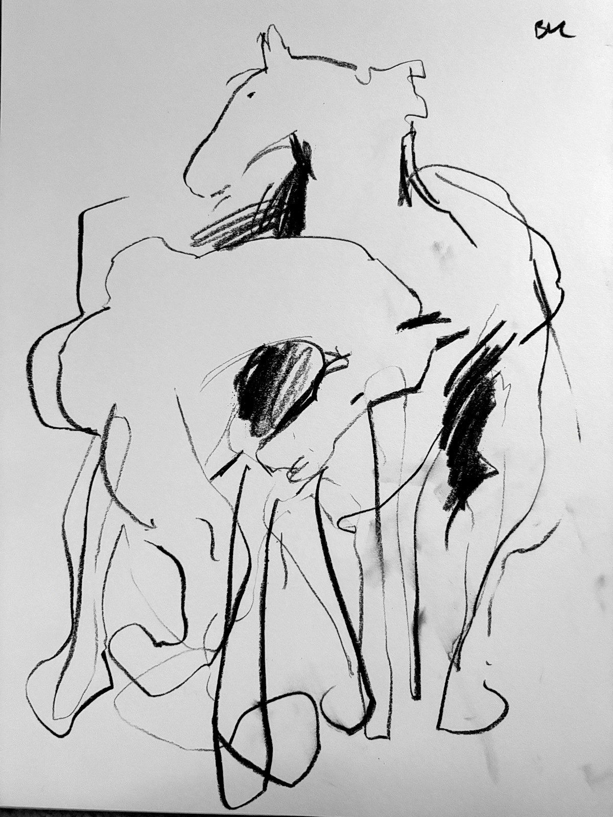 Horses Abstract Cubist Charcoal Drawing On Paper 11”x14” Original Signed Horses Abstract Cubist Charcoal Drawing On Paper 11”x14” Original Signed