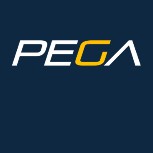 Ferrari 360 Modena clutch rebuilding service PEGA Clutch OEM Spec 201680 Ferrari 360 Modena clutch rebuilding service PEGA Clutch OEM Spec 201680