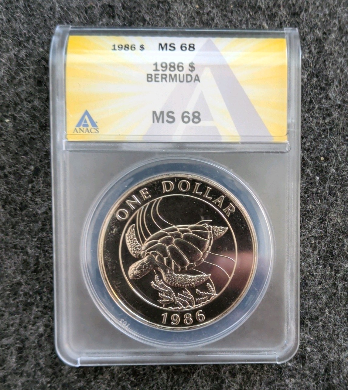 Bermuda 1 Dollar Sea Turtle Commemorative Graded by ANACS Low Mintage Bermuda 1 Dollar Sea Turtle Commemorative Graded by ANACS Low Mintage