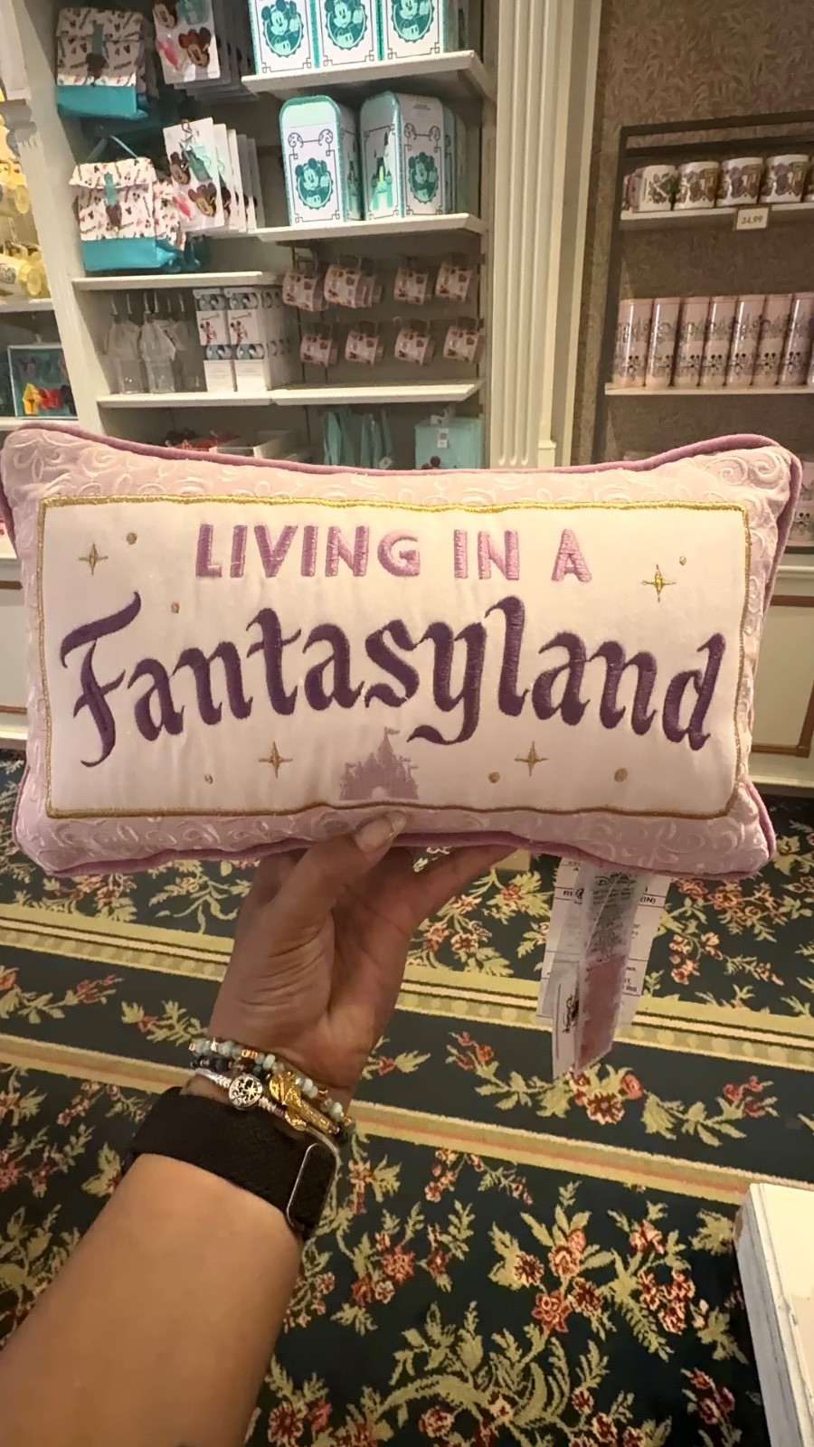 🆕 Disneyland Resort Living in a Fantasyland Pillow 🆕 Disneyland Resort Living in a Fantasyland Pillow