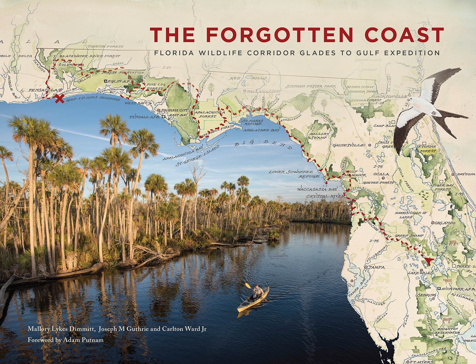 The Forgotten Coast: Florida Wildlife Corridor Glades to Gulf Expedition The Forgotten Coast: Florida Wildlife Corridor Glades to Gulf Expedition