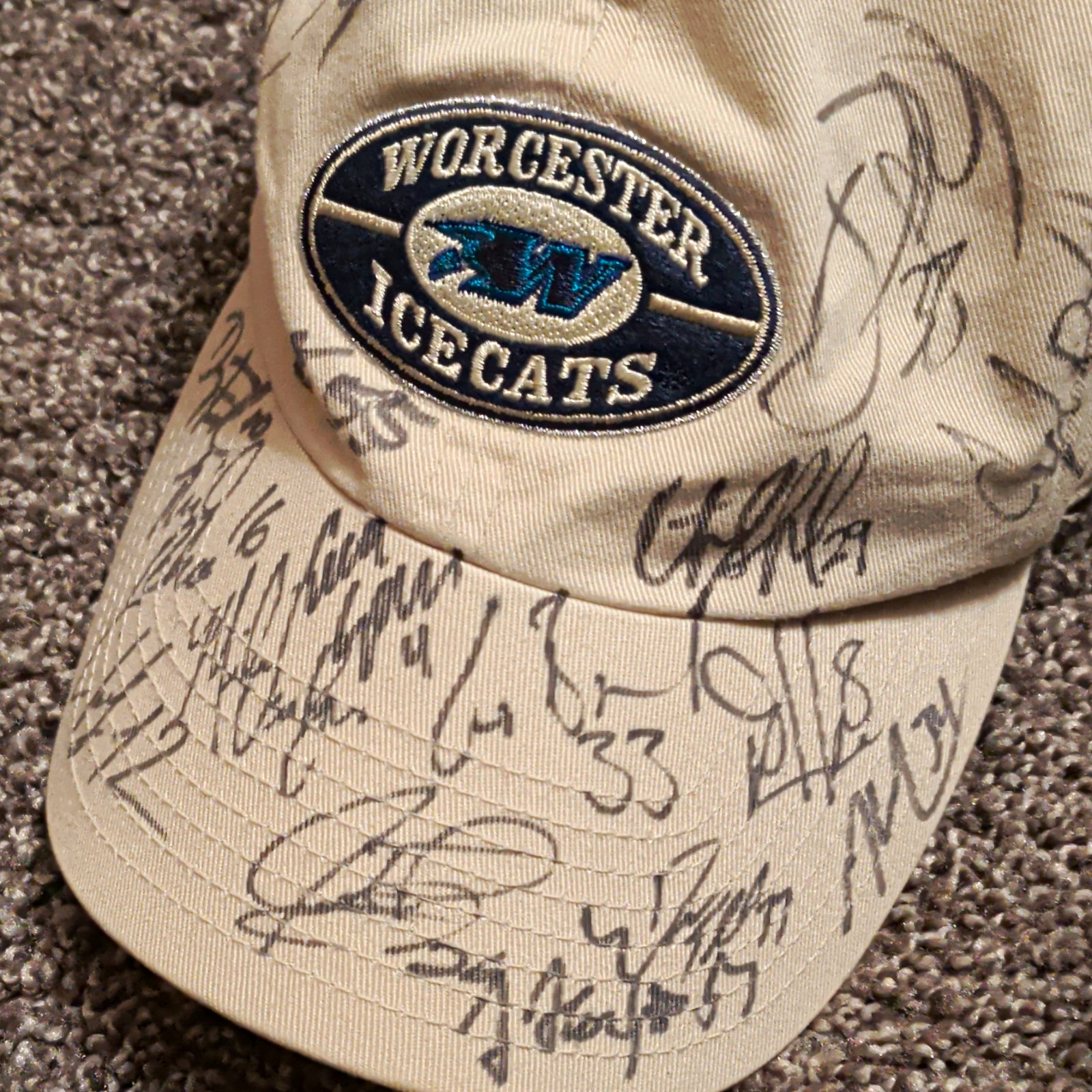 Worcester IceCats Signed Hat Autographed AHL Hockey Cap Eric Boguniecki Sanford