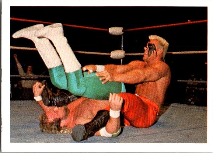 1988 Wonderama NWA - Sting, Eddie Gilbert #191 (RC) 1988 Wonderama NWA - Sting, Eddie Gilbert #191 (RC)