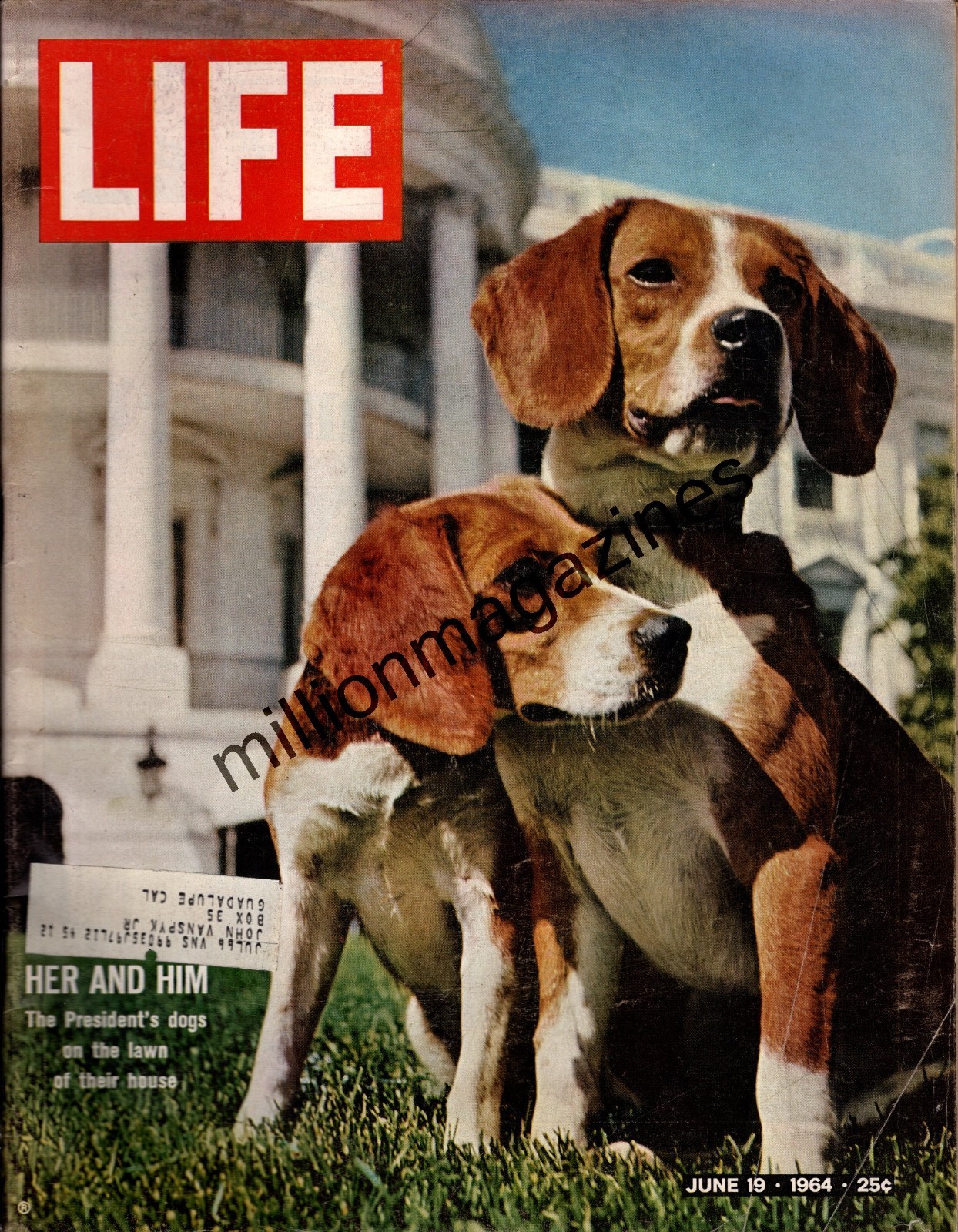 1964 Life June 19 - LBJ's Beagles; Cassius Clay; Jill Kinmont; Shirley MacLaine 1964 Life June 19 - LBJ's Beagles; Cassius Clay; Jill Kinmont; Shirley MacLaine