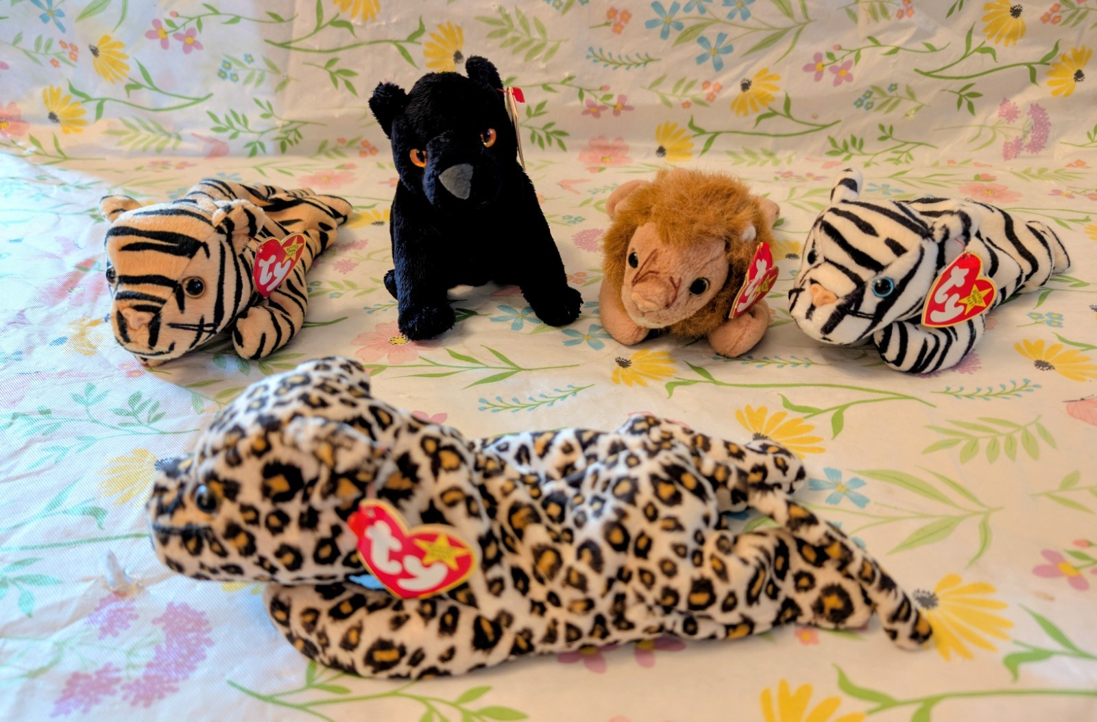 Ty Beanie Baby Big Cats Lot of 5 Roary Blizzard Midnight Stripes Freckles