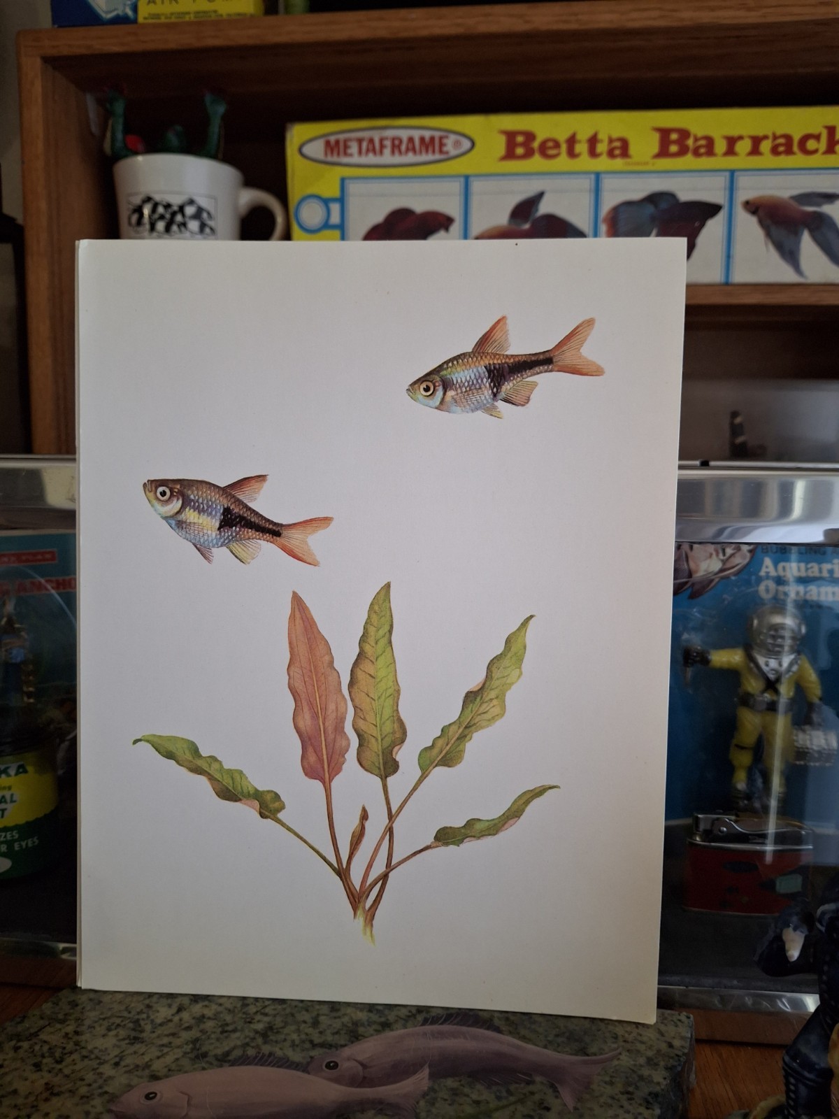 Vintage Old Aquarium Fishbowl Pet Store Tropical Fish 8\