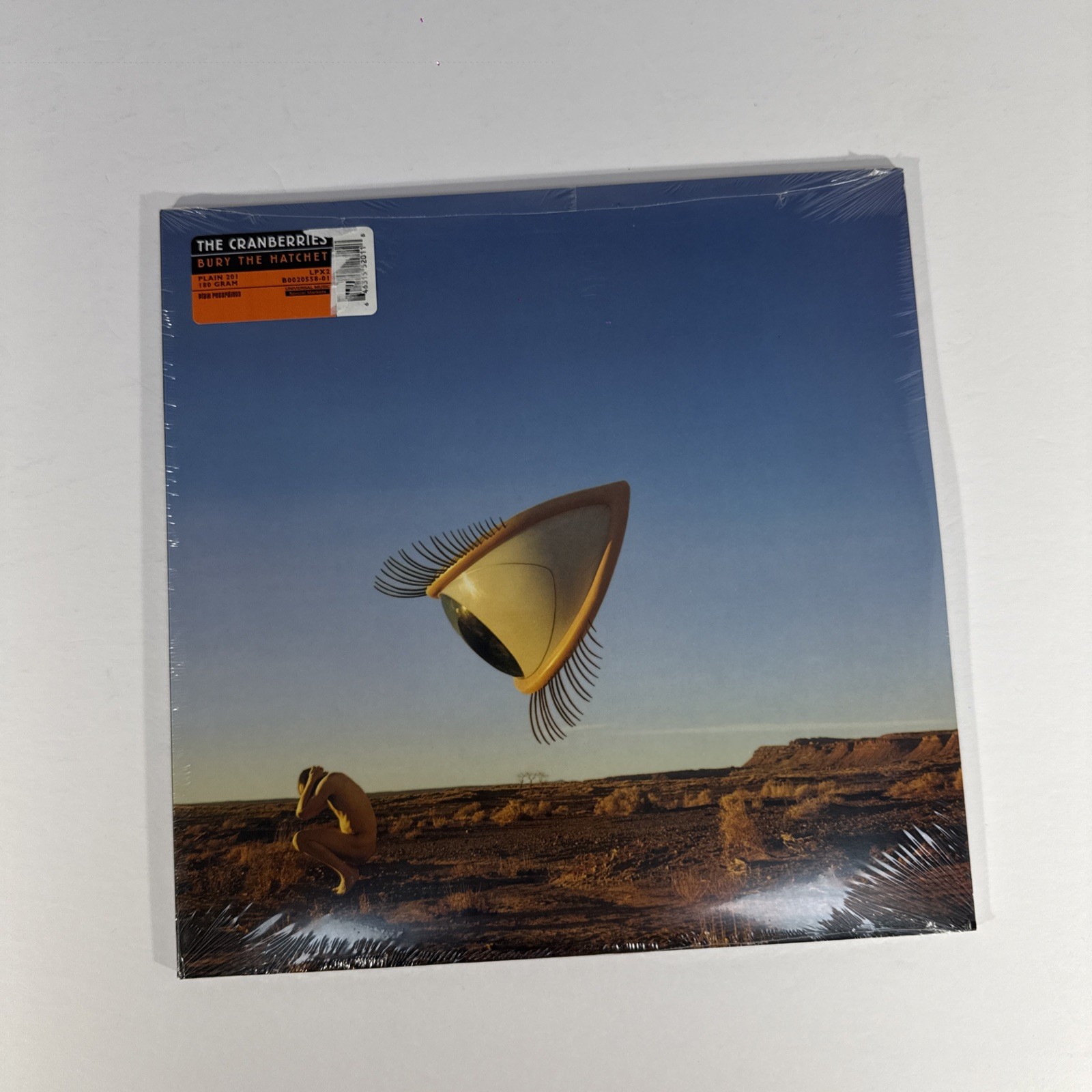 The Cranberries Bury The Hatchet Complete Sessions Vinyl 2015 Reissue 2LP 180g The Cranberries Bury The Hatchet Complete Sessions Vinyl 2015 Reissue 2LP 180g
