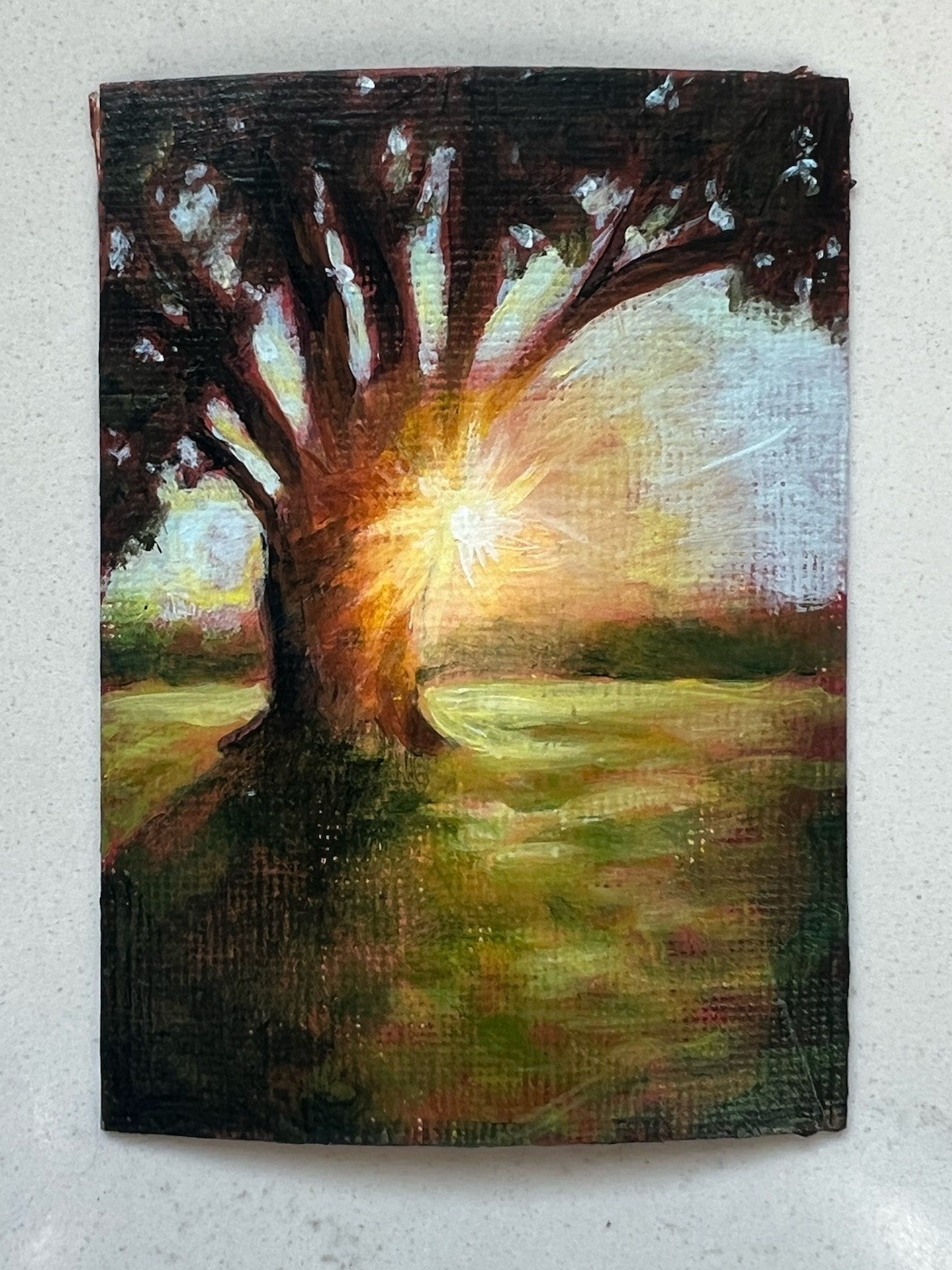 Signed Original Miniature Painting Realism Oak Tree Golden Hour Sunset ACEO Signed Original Miniature Painting Realism Oak Tree Golden Hour Sunset ACEO