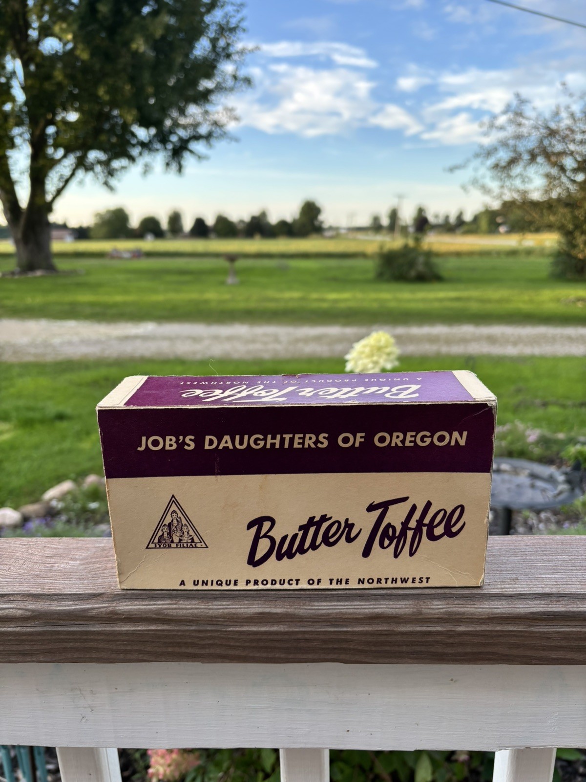 Vintage Job's Daughters of Oregon Butter Toffee Candy Display Box (Empty) Vintage Job's Daughters of Oregon Butter Toffee Candy Display Box (Empty)