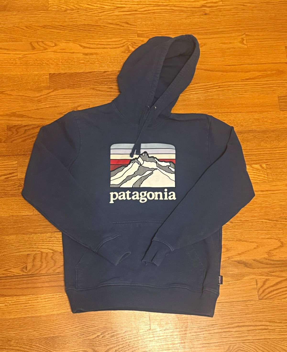 Patagonia Men’s Blue Fleece Graphic Logo Pullover Hoodie Drawstring Pockets S Patagonia Men’s Blue Fleece Graphic Logo Pullover Hoodie Drawstring Pockets S