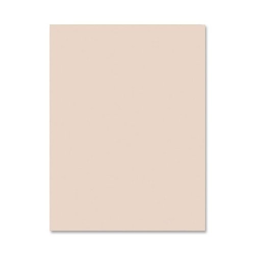 Pacon Tagboard Paper - 24