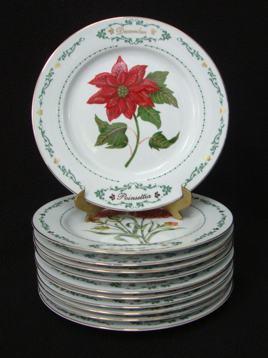 Domestications Salad Plates 8\ Domestications Salad Plates 8\
