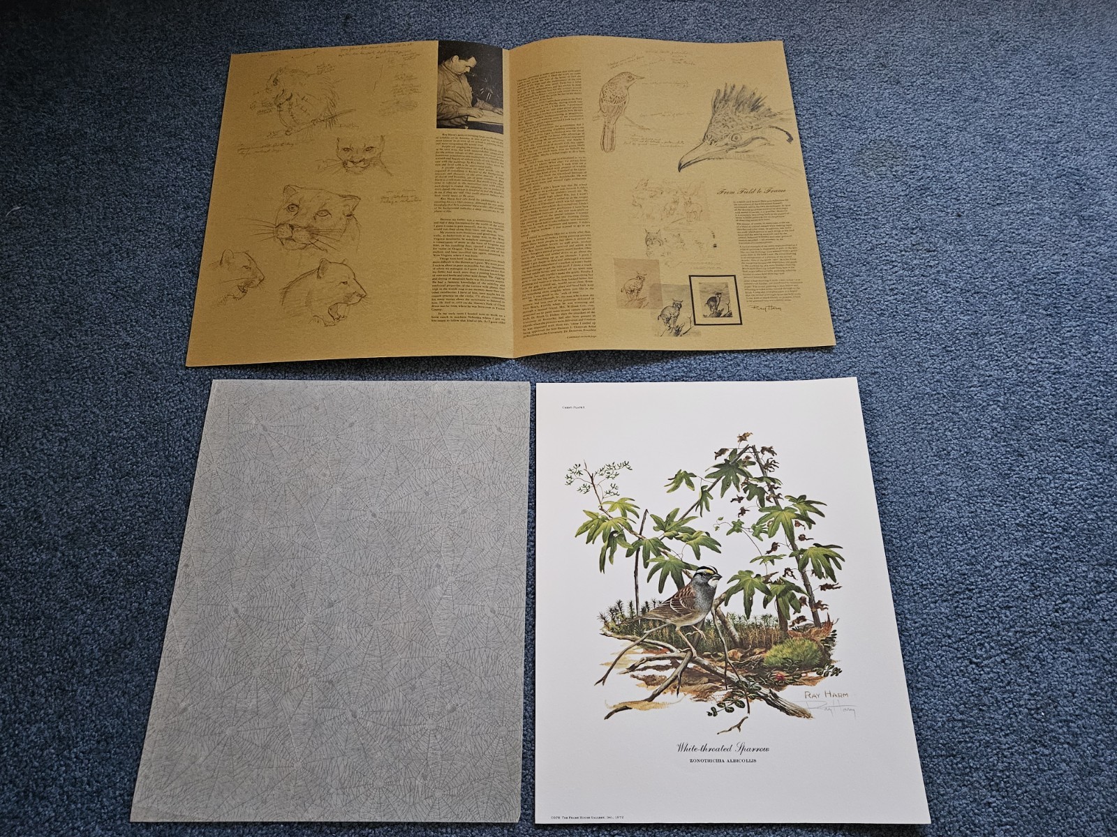 Original 1973 Ray Harm \'Artist Signed\' Ltd. Edition Litho White Throated Sparrow Original 1973 Ray Harm \'Artist Signed\' Ltd. Edition Litho White Throated Sparrow