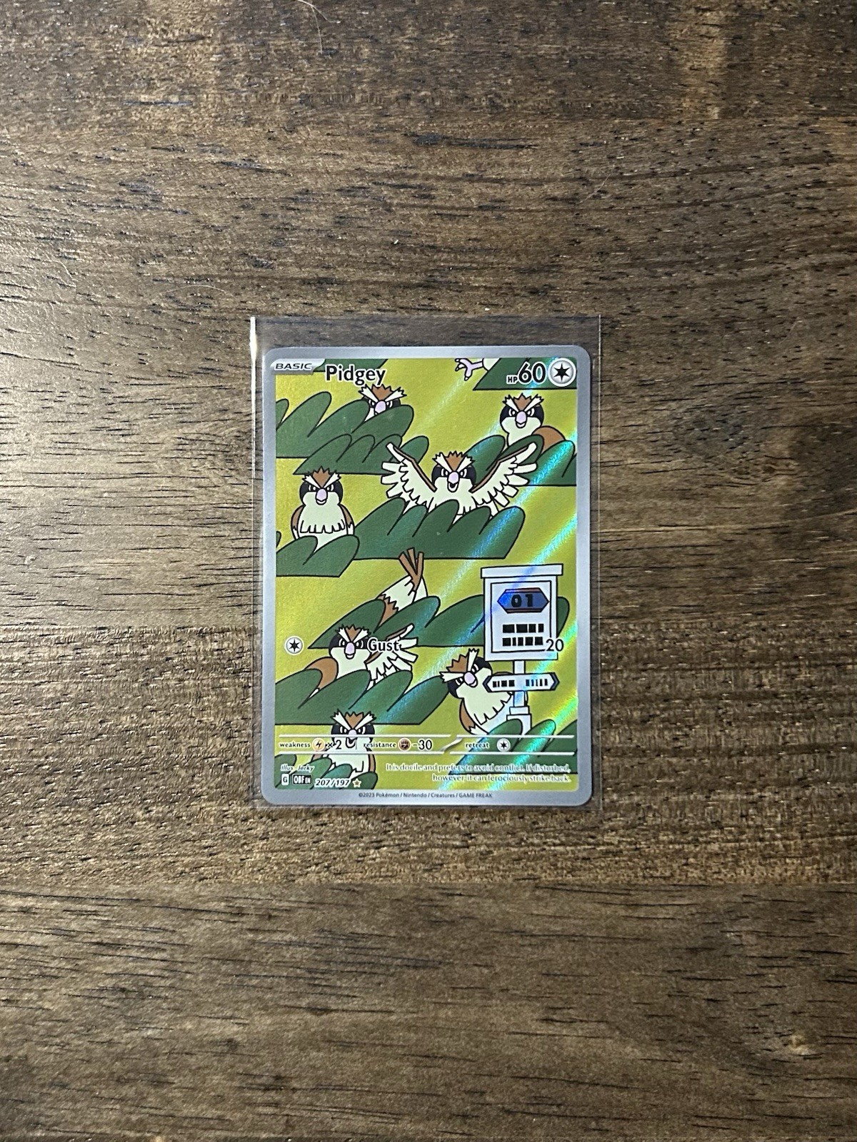 Pidgey 207/197 Obsidian Flames Pokemon TCG Illustration Rare Holo NM/LP+ Pidgey 207/197 Obsidian Flames Pokemon TCG Illustration Rare Holo NM/LP+