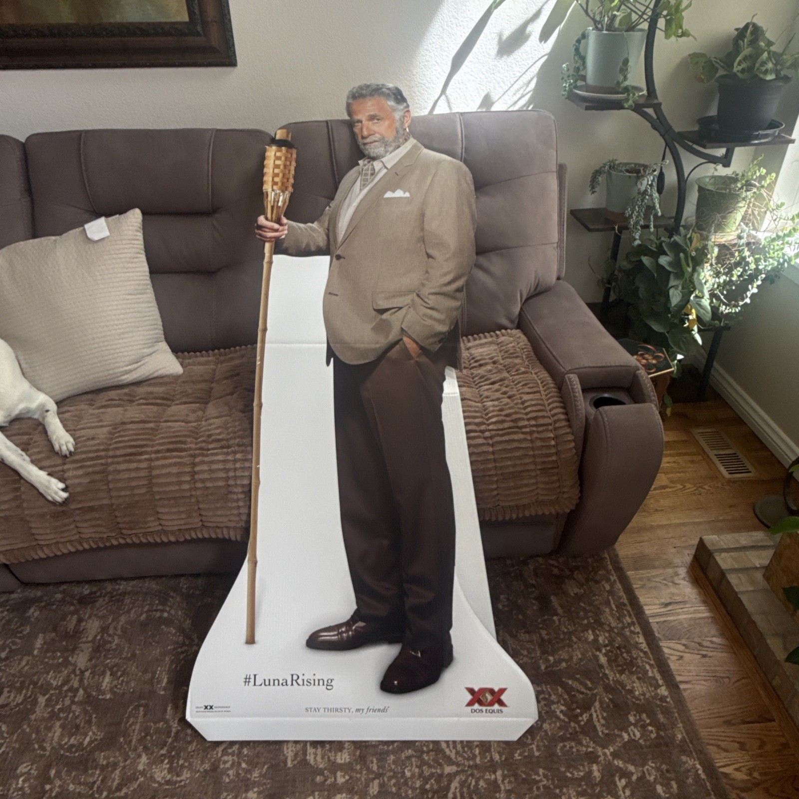 Most Interesting Man In The World Dos Equis XX Standee Brand New - Vintage 2015 Most Interesting Man In The World Dos Equis XX Standee Brand New - Vintage 2015
