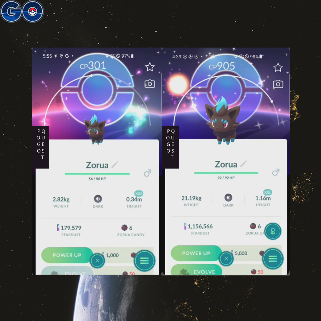 Pokémon - Shiny Zorua XXL/ XXS - Tr-de✨ Pokémon - Shiny Zorua XXL/ XXS - Tr-de✨