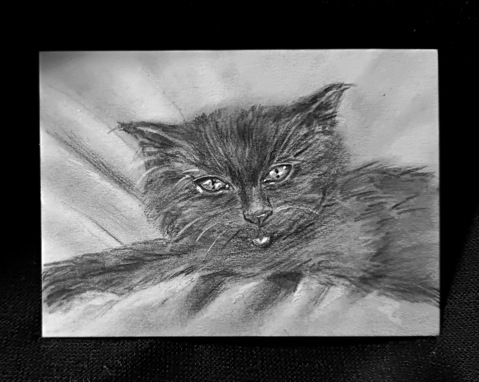 ACEO Original Realism Pencil Drawing of Black Kitten Cat Small MINI OOAK Cute