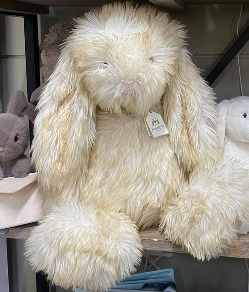 Legit Jellycat Bashful Springlowe Bunny Legit Jellycat Bashful Springlowe Bunny