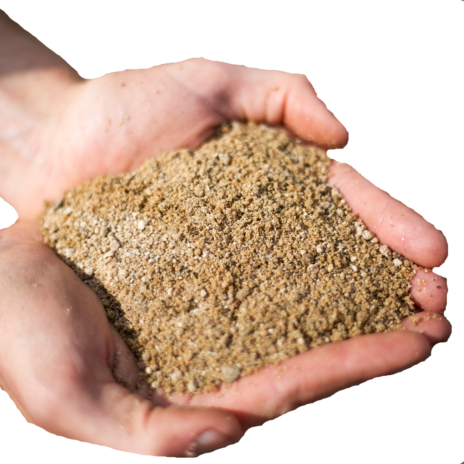 Coarse Horticultural Sand — Washed Sand for Succulents, Cactus, Bonsai - 2 Quart Coarse Horticultural Sand — Washed Sand for Succulents, Cactus, Bonsai - 2 Quart