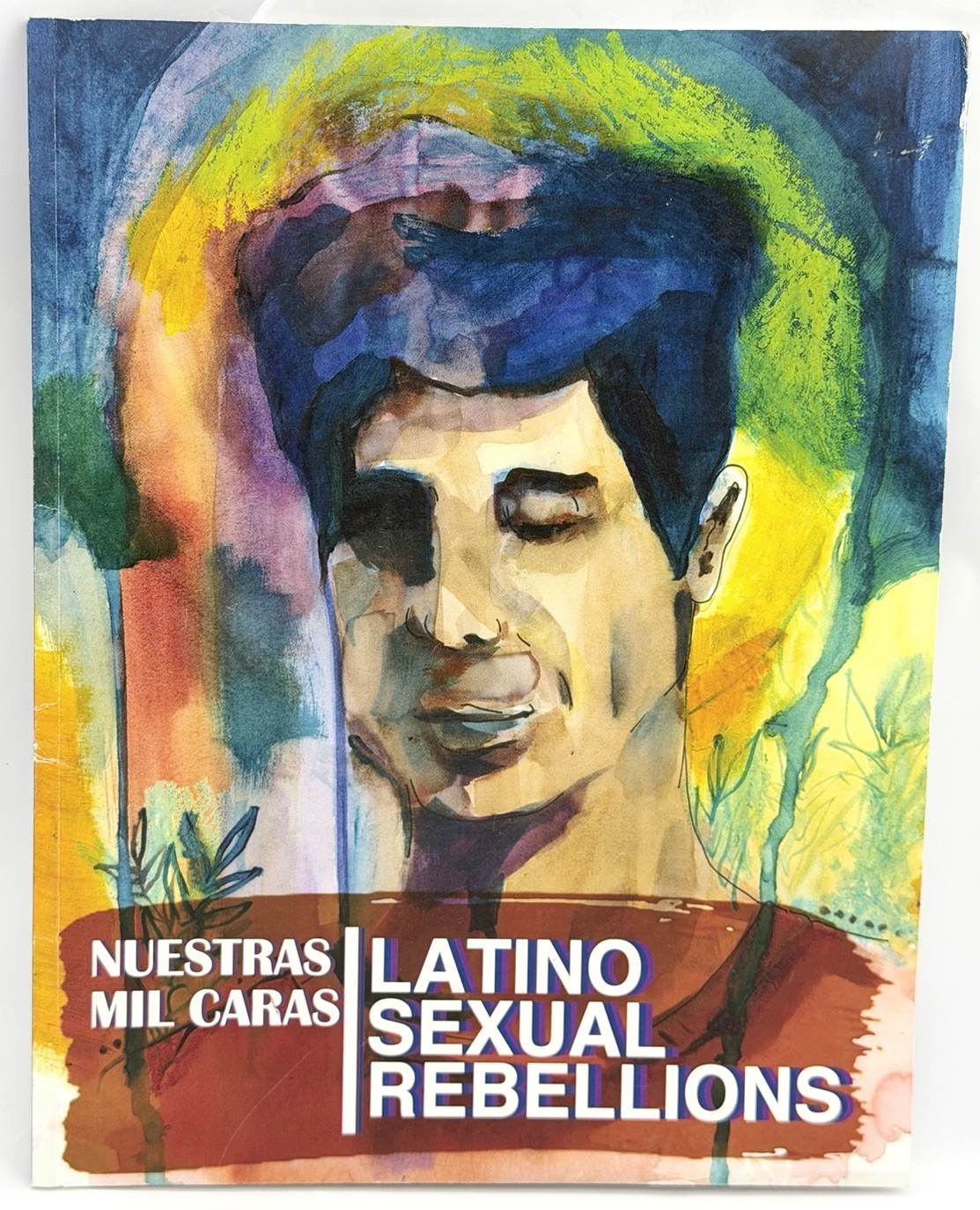 Latino Sexual Rebellions / Nuestras Mil Caras / 2013 - RARE Latino Sexual Rebellions / Nuestras Mil Caras / 2013 - RARE