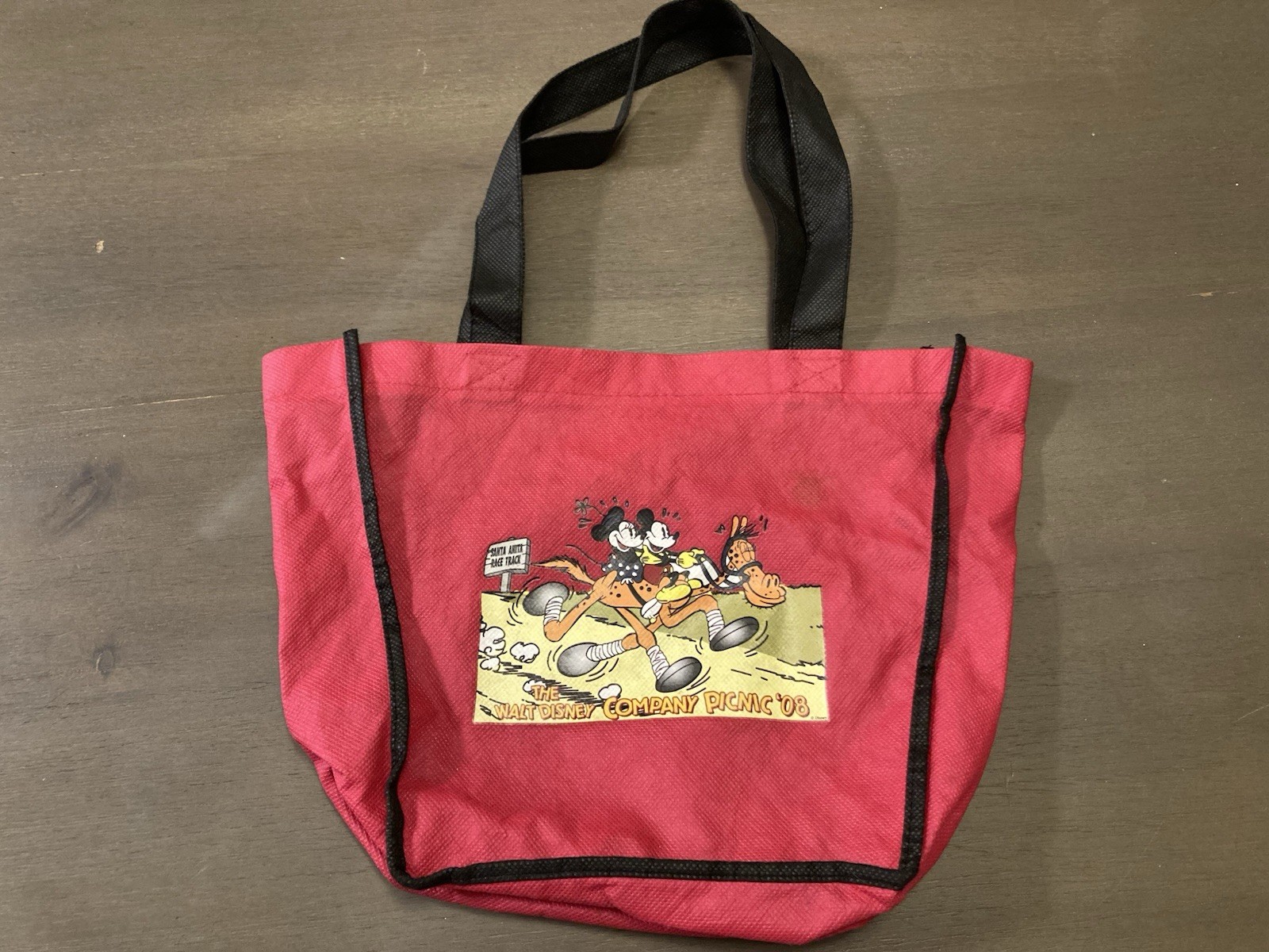 RARE Disney Mickey Cast Member Exclusive Walt Disney Company Picnic 2008 Bag