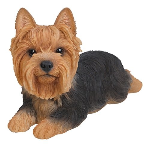 Hi-Line Gift Ltd Yorkshire Terrier Dog Lying Down Statue Yorkie 8\
