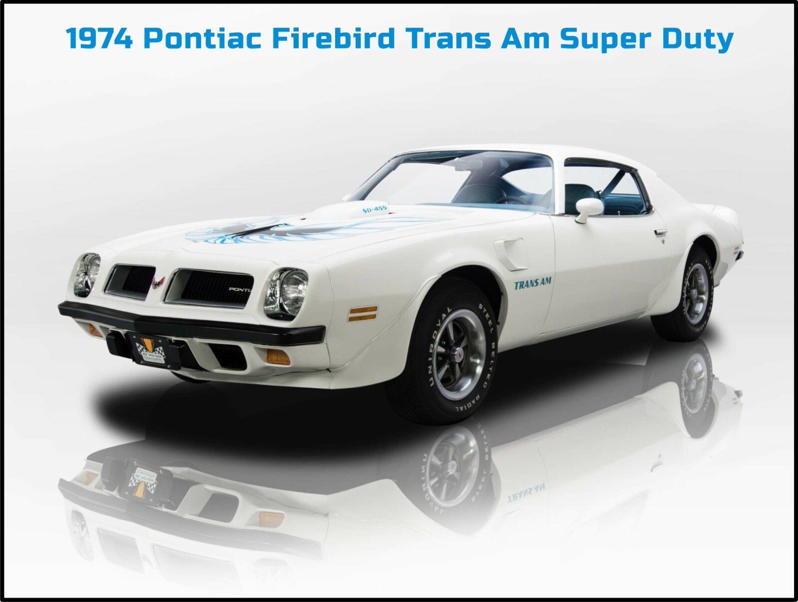 1974 Pontiac Firebird Trans Am NEW Metal Sign: Large Size 12 x 16\