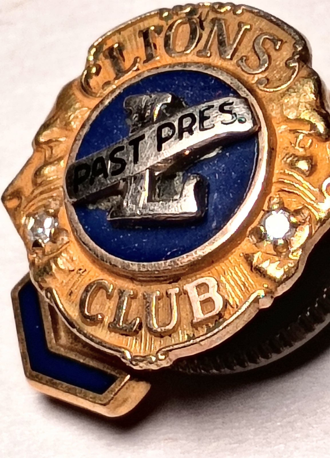 Vintage 10K Solid Gold Lions Club Past President Pin Diamond Accents Fraternal Vintage 10K Solid Gold Lions Club Past President Pin Diamond Accents Fraternal
