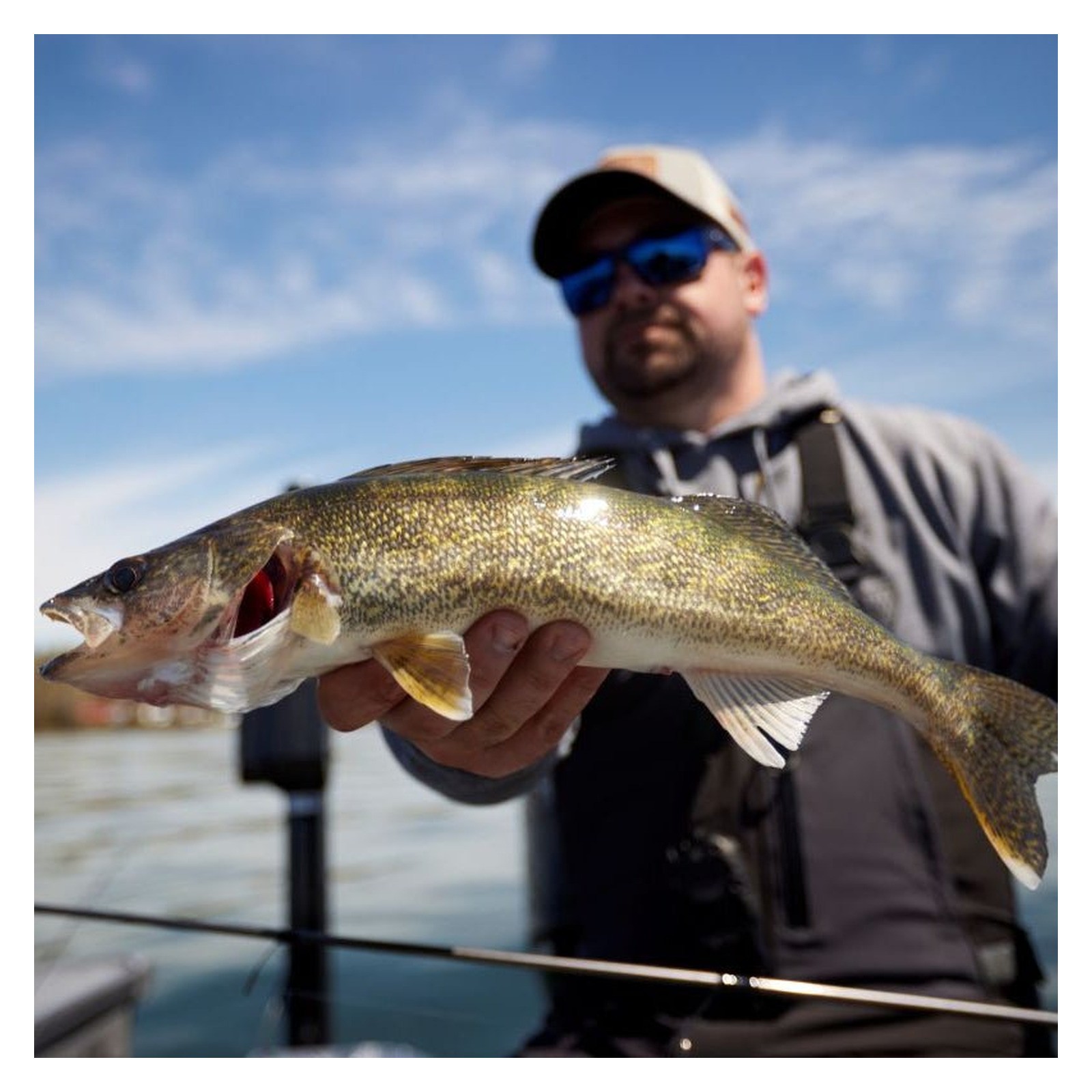 St. Croix AVID SERIES WALLEYE SPINNING - Choose Model
