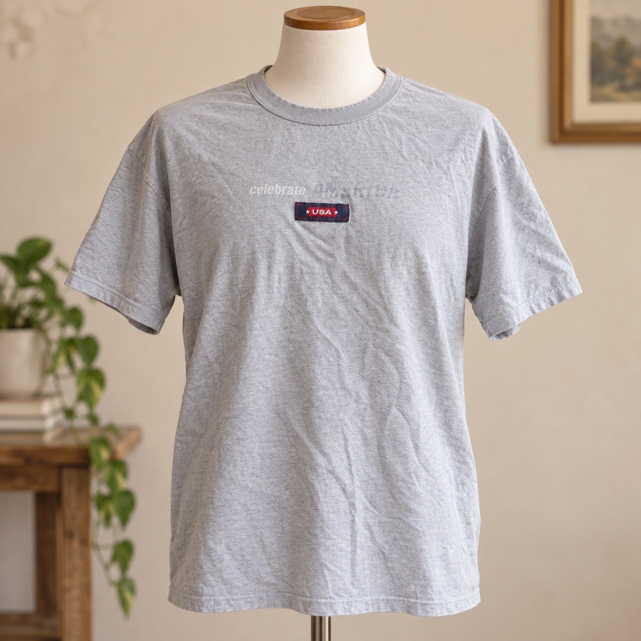 Vintage 2001 USA Celebrate America Graphic T-Shirt Gray Adult Large L 50/50 Vintage 2001 USA Celebrate America Graphic T-Shirt Gray Adult Large L 50/50