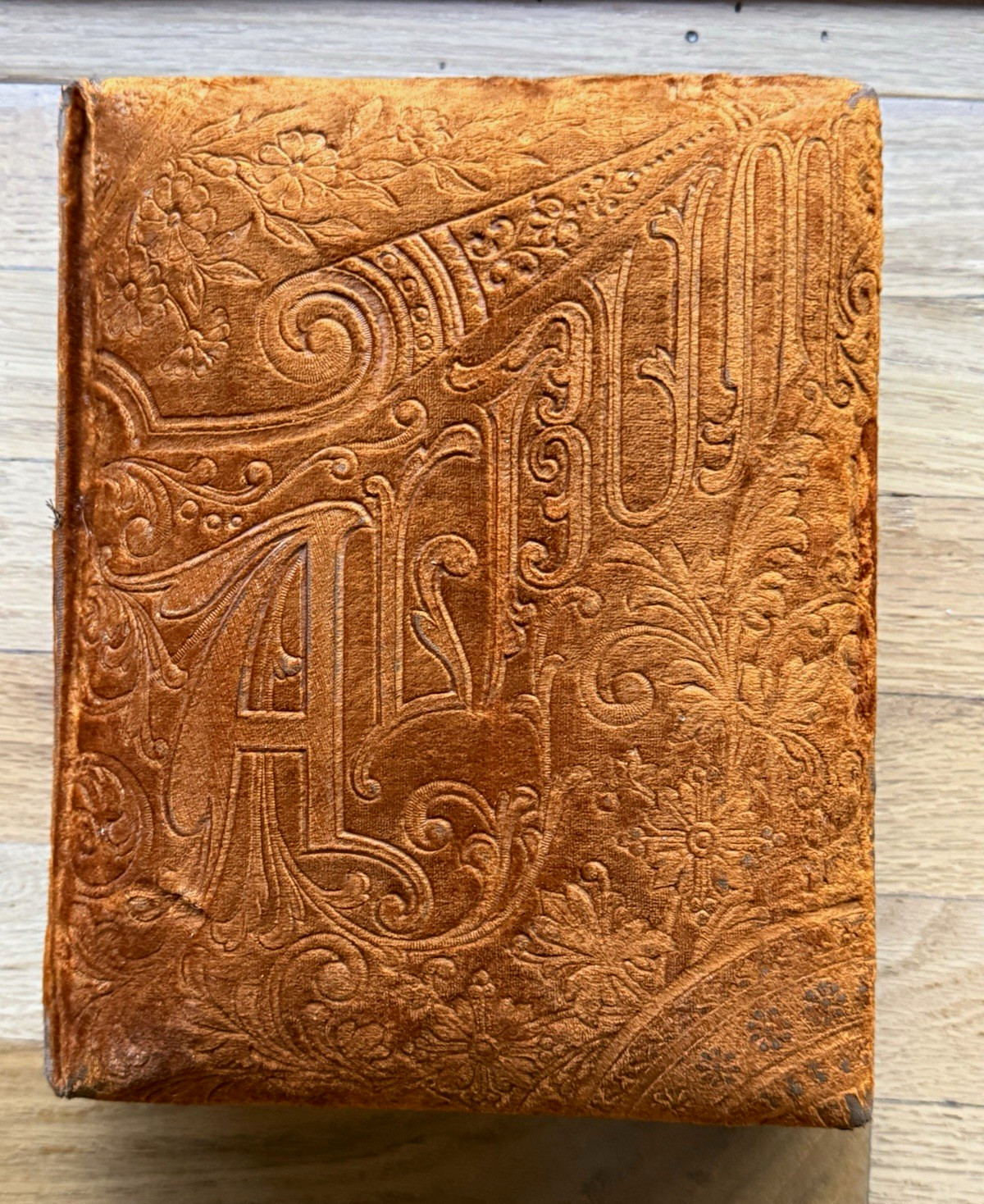 Gorgeous Vintage Victorian Orange Floral Embossed Velvet Fabric Photo Album Gorgeous Vintage Victorian Orange Floral Embossed Velvet Fabric Photo Album
