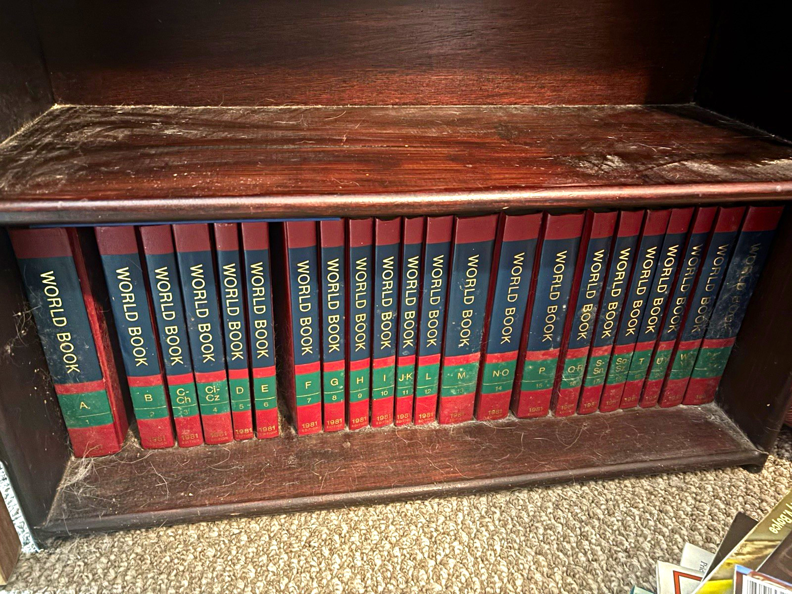 World Book Encyclopedia 1981 Hardcover Multi-Volume Reference Set (English) World Book Encyclopedia 1981 Hardcover Multi-Volume Reference Set (English)