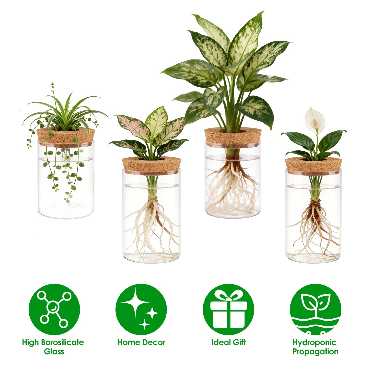 4Pcs Glass Propagation Stations Office Glass Planters Hydroponic Plant Vases US 4Pcs Glass Propagation Stations Office Glass Planters Hydroponic Plant Vases US