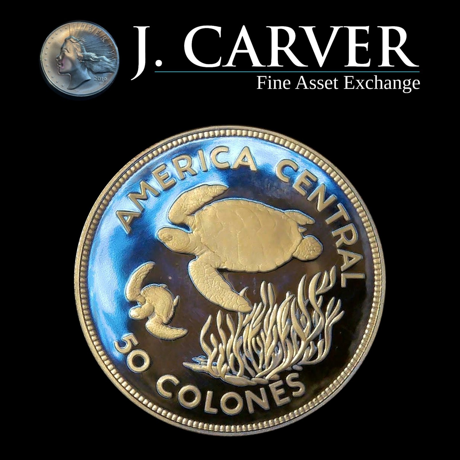 1974 Costa Rica 50 Colones WWF Green Sea Turtle .925 Silver Proof Conservation 1974 Costa Rica 50 Colones WWF Green Sea Turtle .925 Silver Proof Conservation