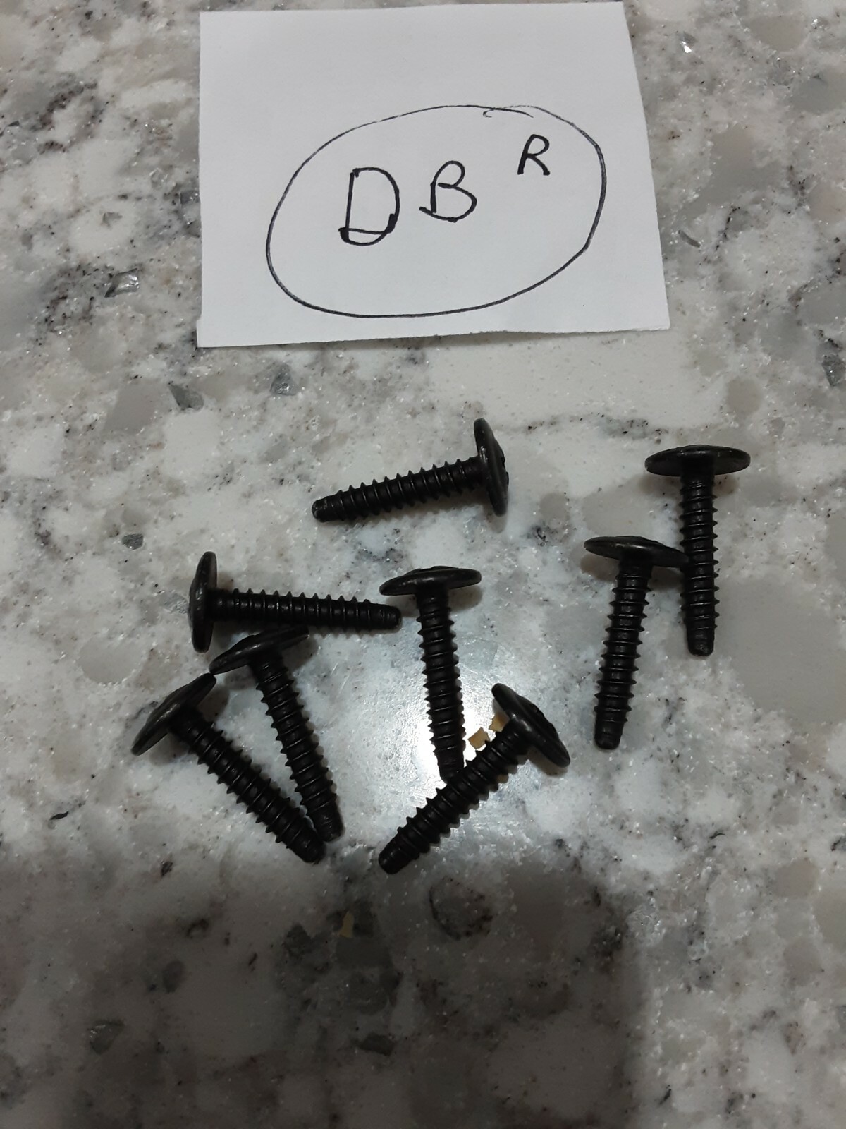 Corvette Taillight Lens Mounting Screws Fits 1991–2004 C4 & C5  (8)