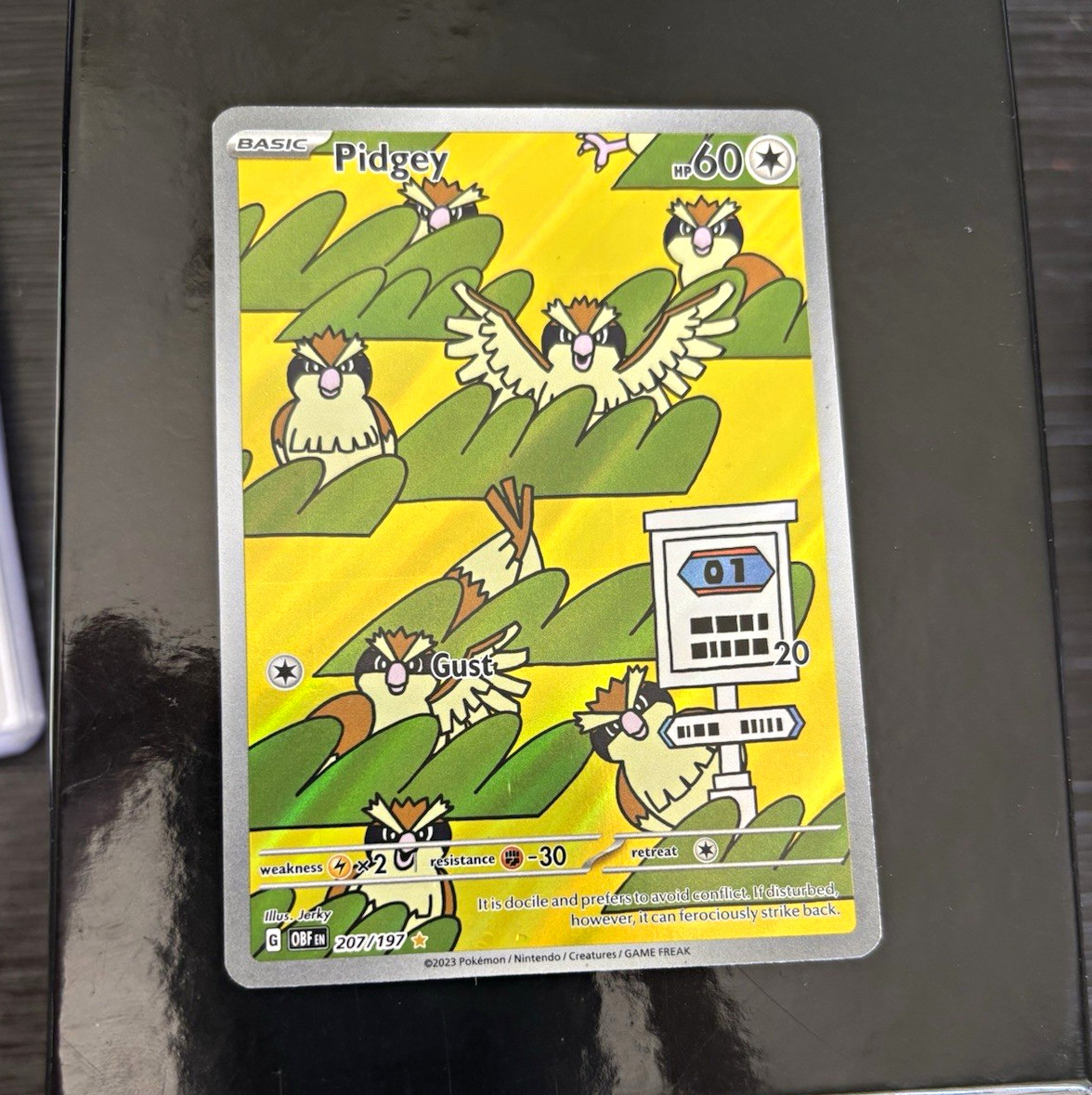 Pidgey 207/197 Pokemon Obsidian Flames Illus Rare Holo Full Art EN LP Pidgey 207/197 Pokemon Obsidian Flames Illus Rare Holo Full Art EN LP