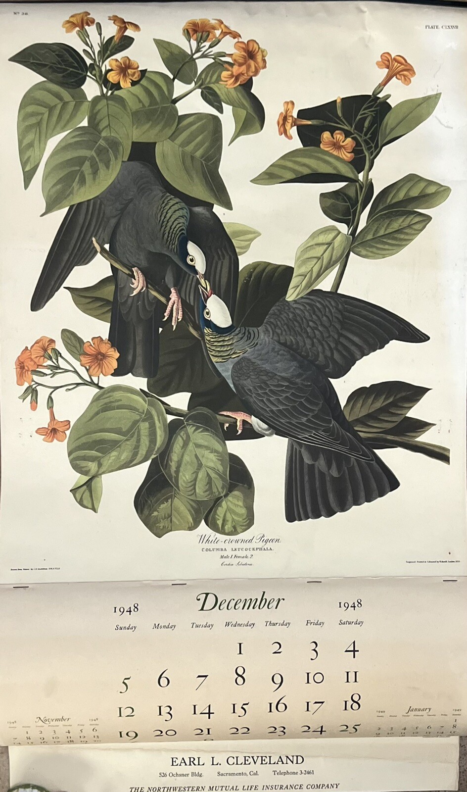 Vtg 1949 JJ Audubon Bird Wall Hanging Calendar, Nature Inspired Promo Ad Artwork Vtg 1949 JJ Audubon Bird Wall Hanging Calendar, Nature Inspired Promo Ad Artwork
