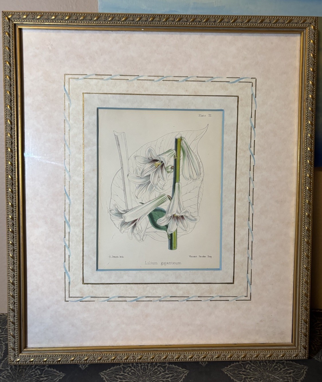 Vintage Framed Floral Lilium Giganteum Vincent Brooks Imp. Print Vintage Framed Floral Lilium Giganteum Vincent Brooks Imp. Print