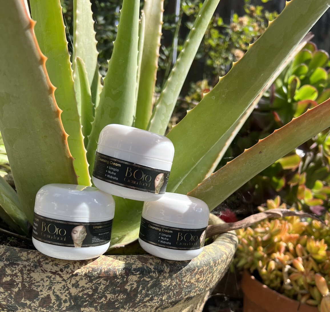 B’Oro 3 Cremas Faciales Regulares 3 Regular B’Oro Creams B’Oro 3 Cremas Faciales Regulares 3 Regular B’Oro Creams