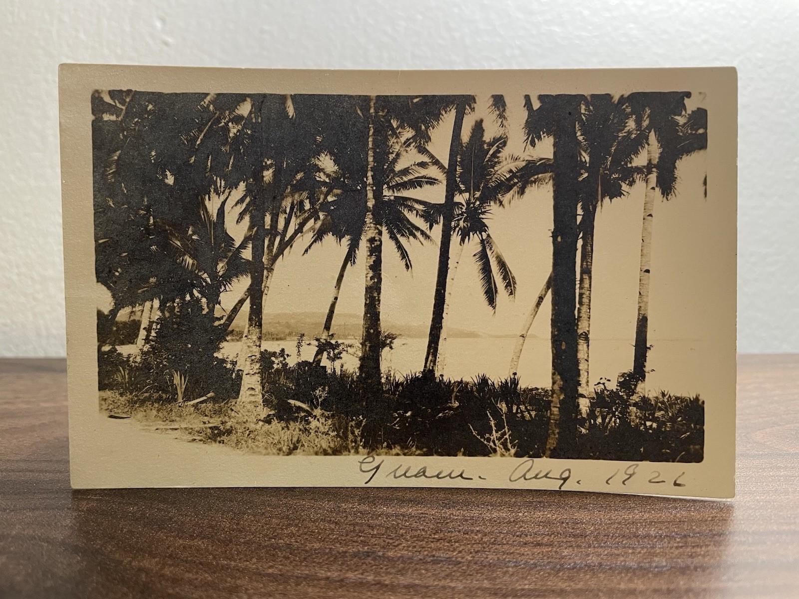 Antique Silver Gelatin Photograph 