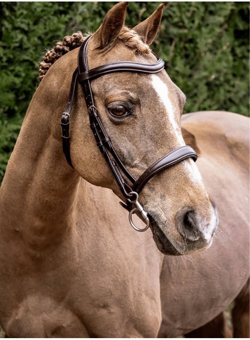 Beautiful Henry James Brown Bridle Beautiful Henry James Brown Bridle