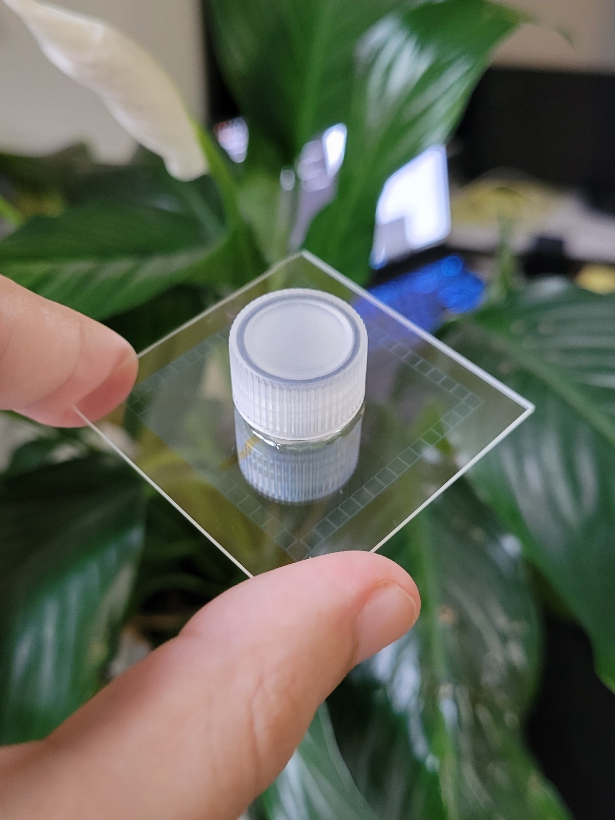 Transparent ITO MEA — 60 Electrodes, Glass Substrate, Optical Imaging Compatible