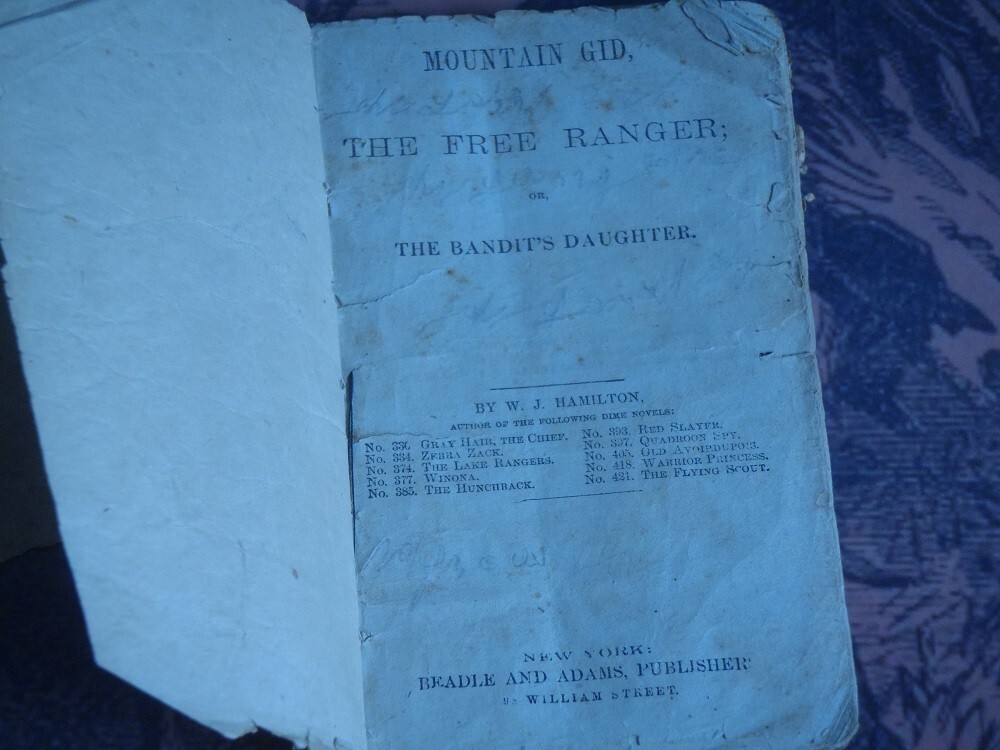 SIOUX INDIANS 1870 BEADLE\'S NEW DIME NOVELS #103 DIME NOVEL STORY PAPER